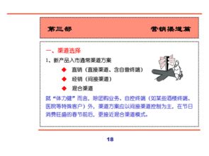 匯源集團新產品營銷策劃全案