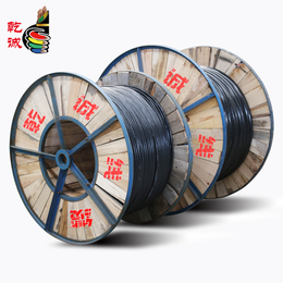 衡水雷諾線纜 引領電力電纜行業(yè)的創(chuàng)新與品質(zhì)